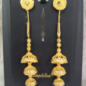 Gold Plated Casual Earrings.